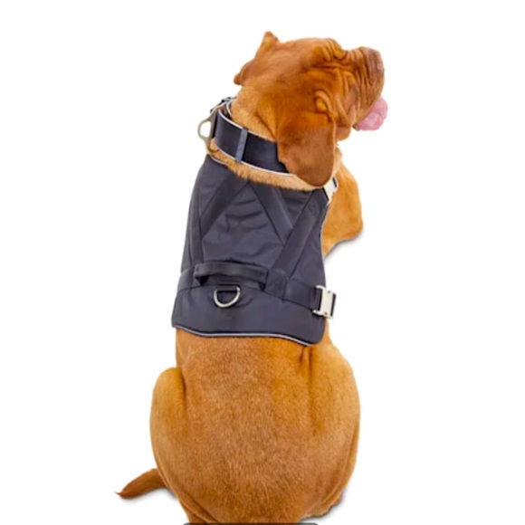 YOULY The Champion Black Big Dog Harness Reflective XXL/XXXL NEW!! - Picture 3 of 5